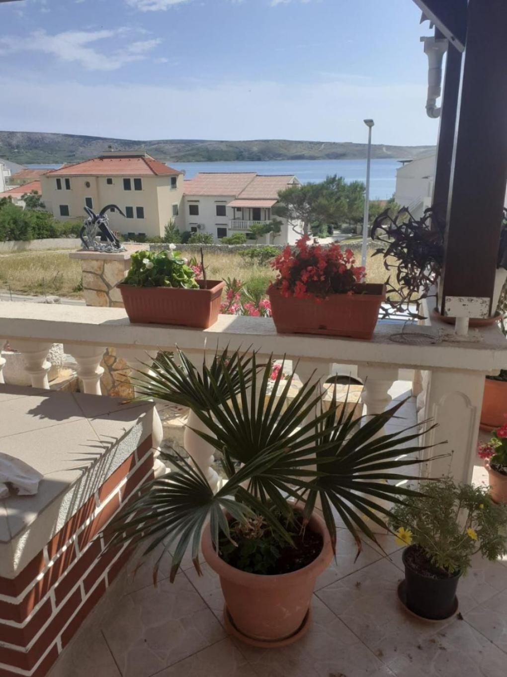 Apartment Kosta Kustici Luaran gambar